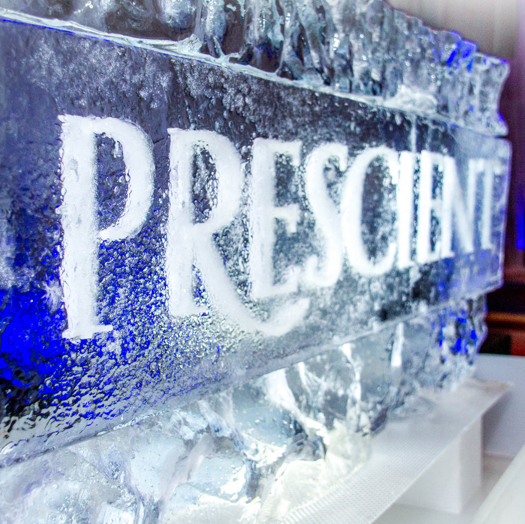ICE SCULPTURES – ICE SCULPTURES entertainment hire, South Africa