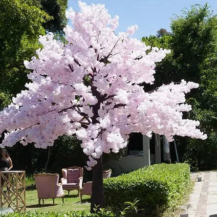 CHERRY BLOSSOM TREES – Cherry Blossom Led Tree entertainment hire, South Africa