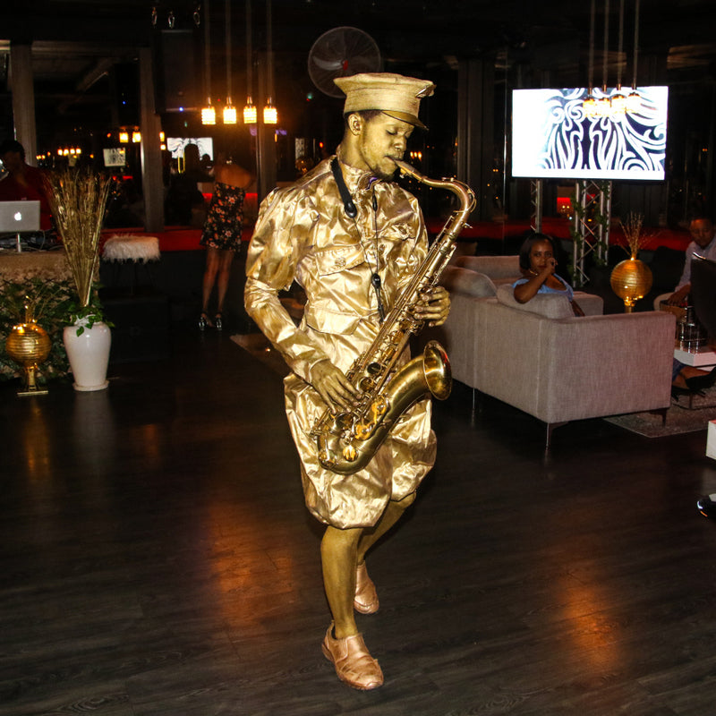 METALLIC MUSICIANS – METALLIC MUSICIANS entertainment hire, South Africa