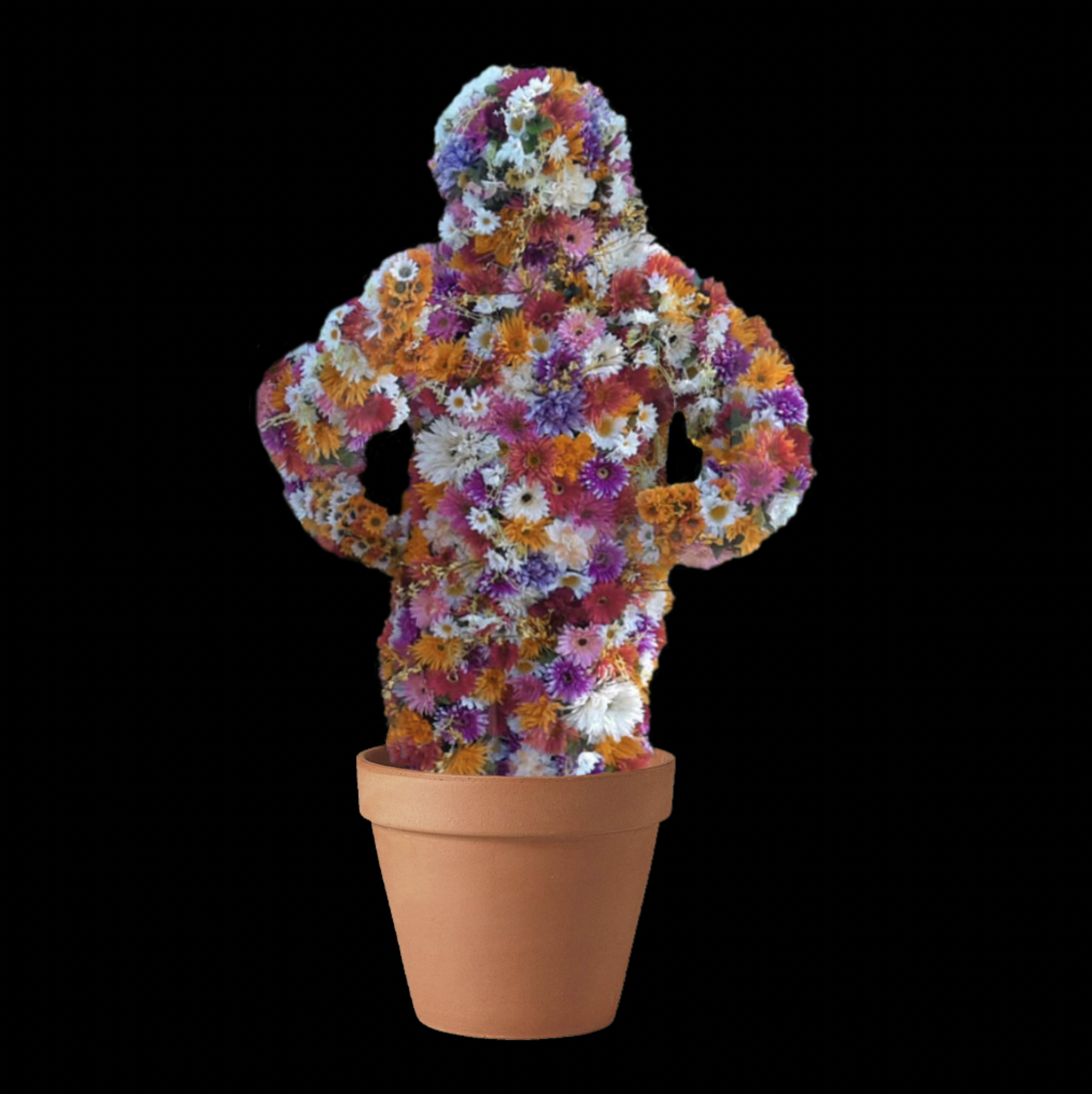 FLOWER MEN – FLOWER MEN entertainment hire, South Africa