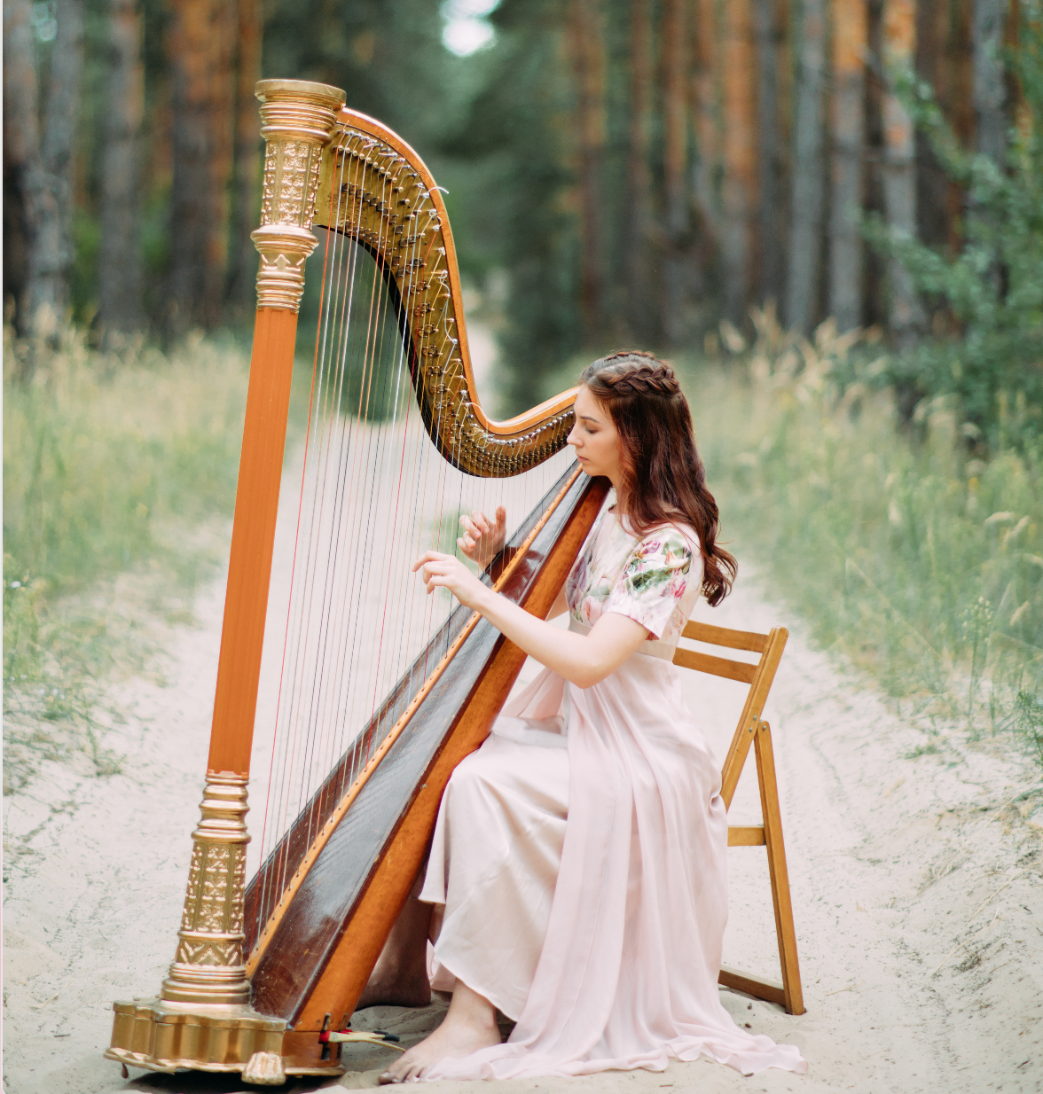 HARPISTS – HARPISTS entertainment hire, South Africa