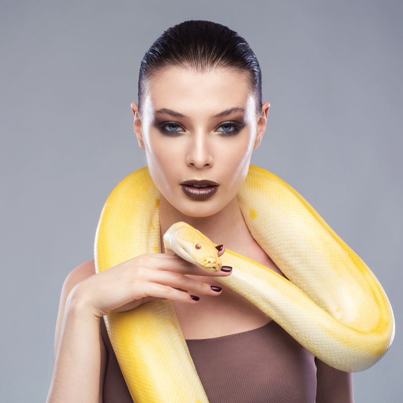 SNAKE CHARMERS – SNAKE CHARMERS entertainment hire, South Africa