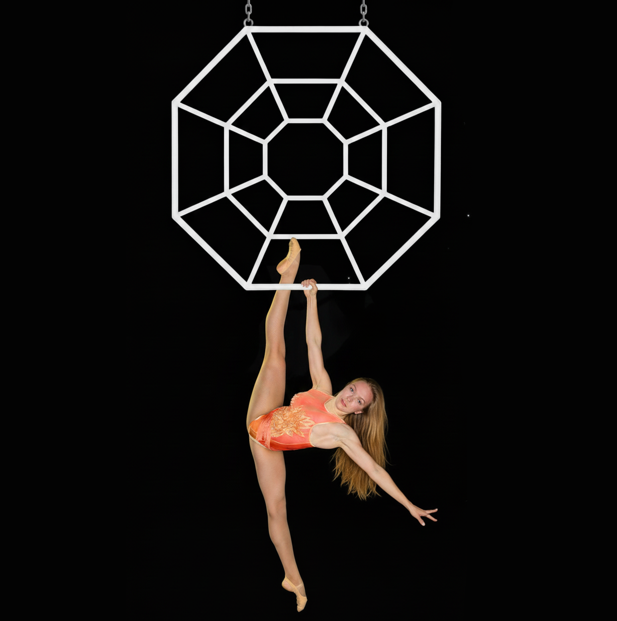 AERIAL SPIDER WEB