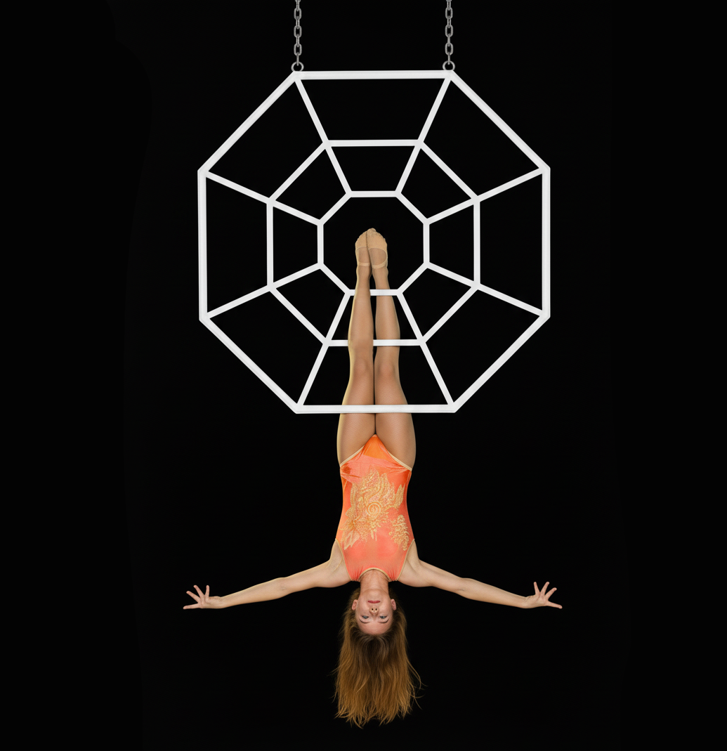 AERIAL SPIDER WEB