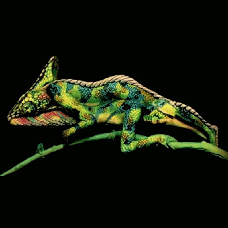 BODY PAINT CREATIONS – BODY PAINT CREATIONS entertainment hire, South Africa