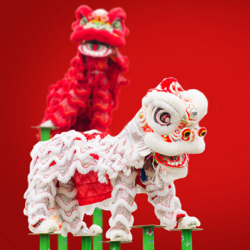 CHINESE LION DANCERS – CHINESE LION DANCERS entertainment hire, South Africa