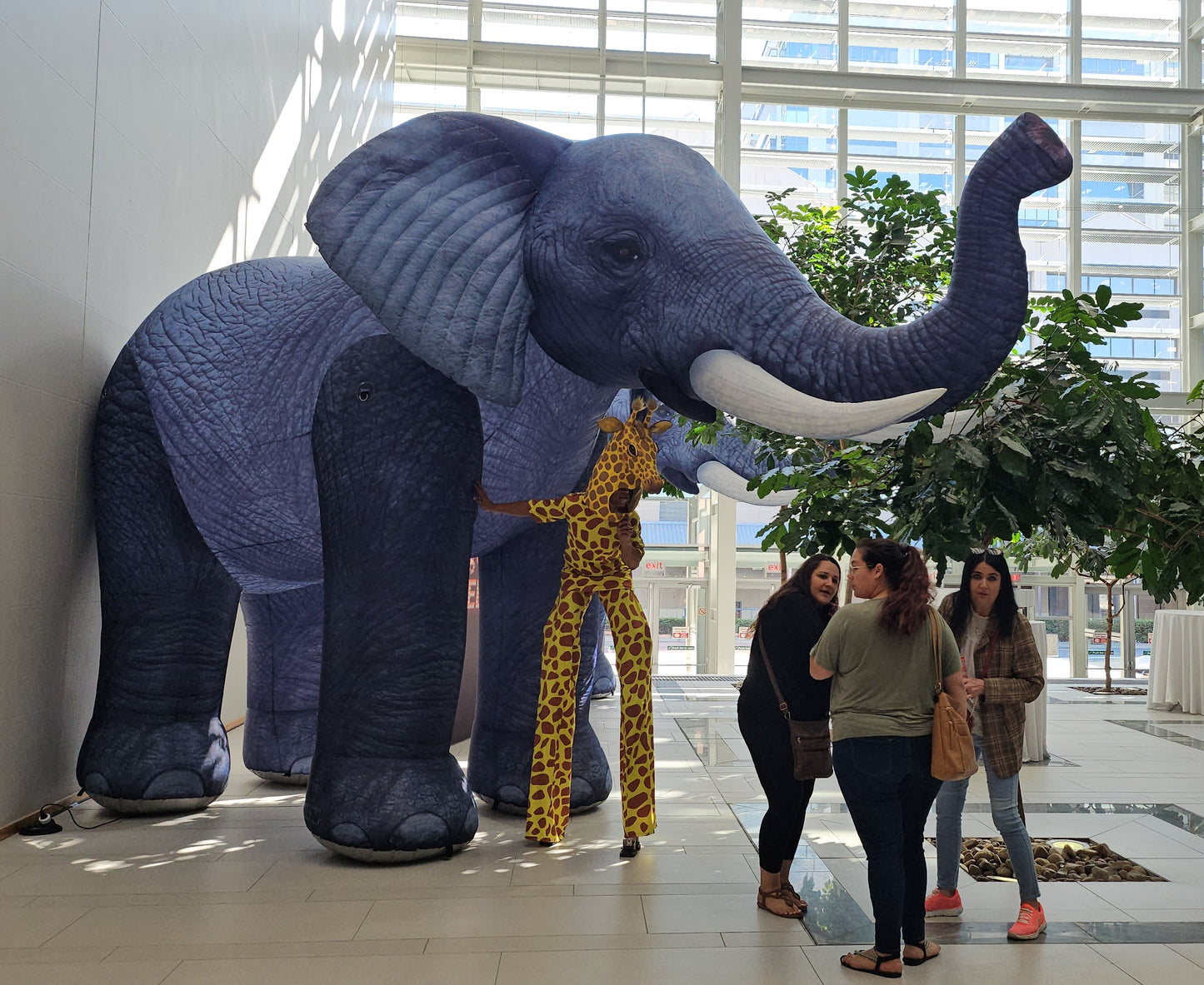 INFLATABLE ELEPHANTS