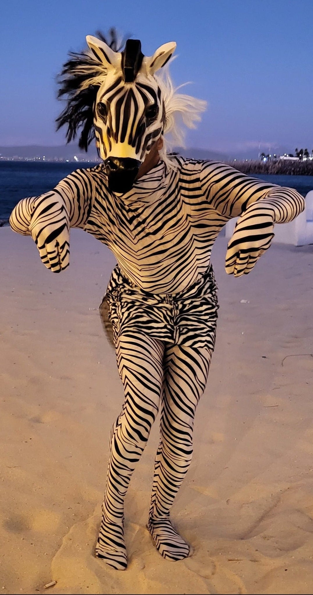 ANIMAL CHARACTERS