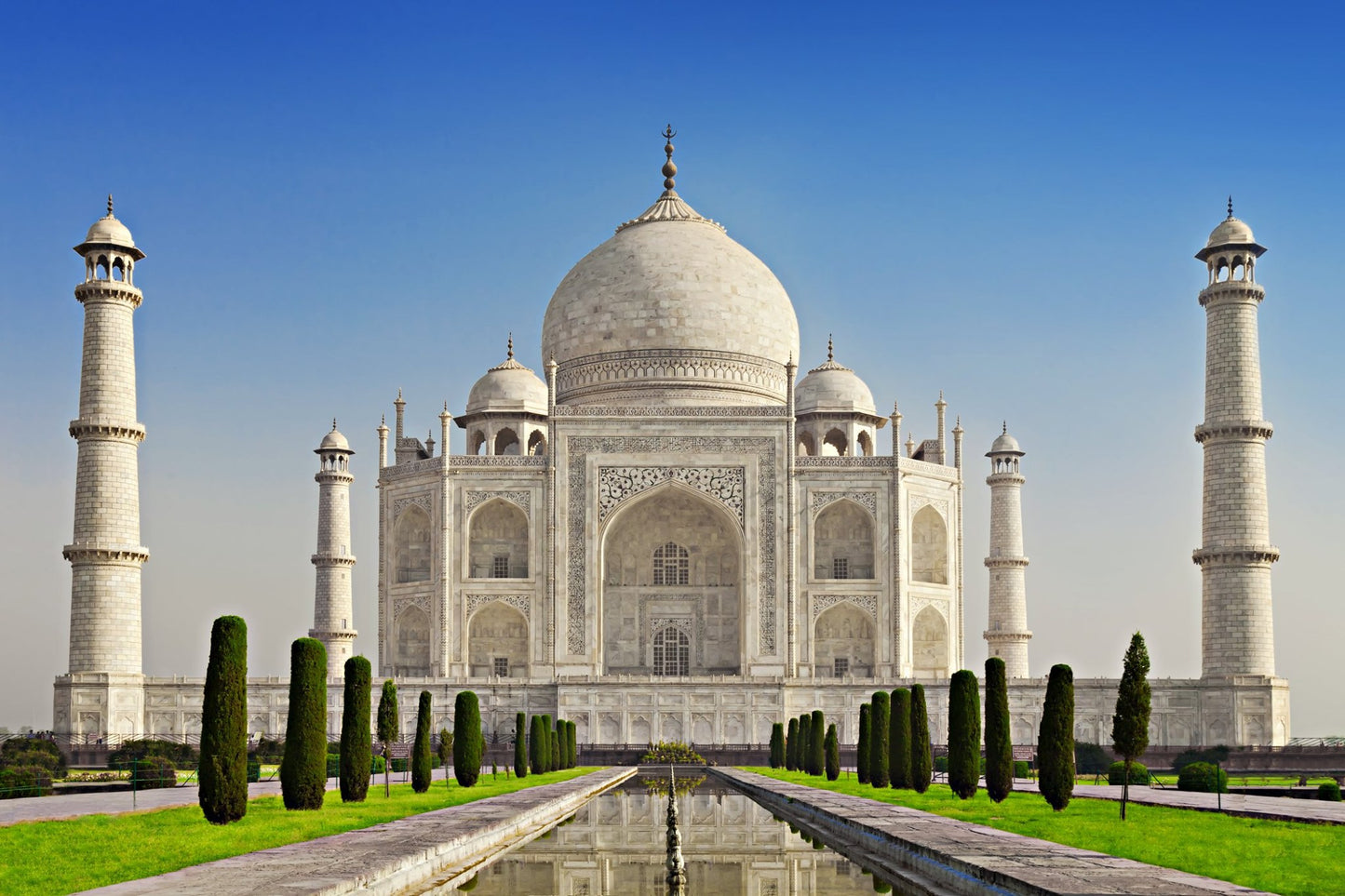 PRINTED BACKDROPS