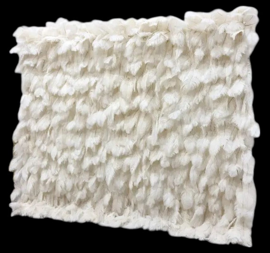 FEATHER WALLS