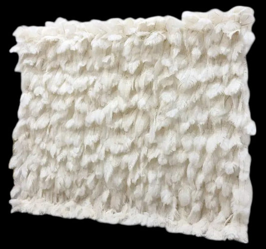 FEATHER WALLS