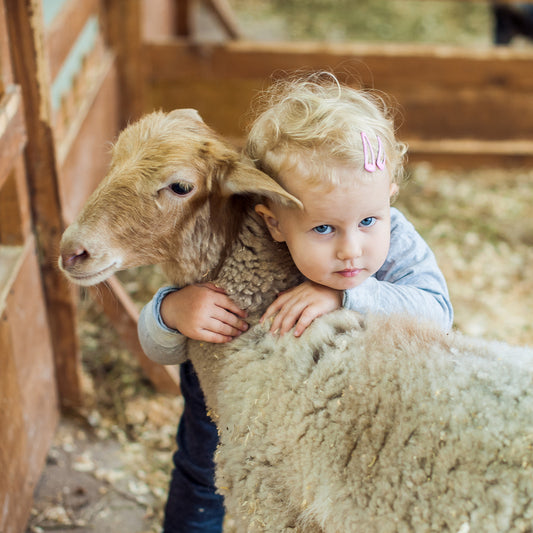 PETTING ZOOS