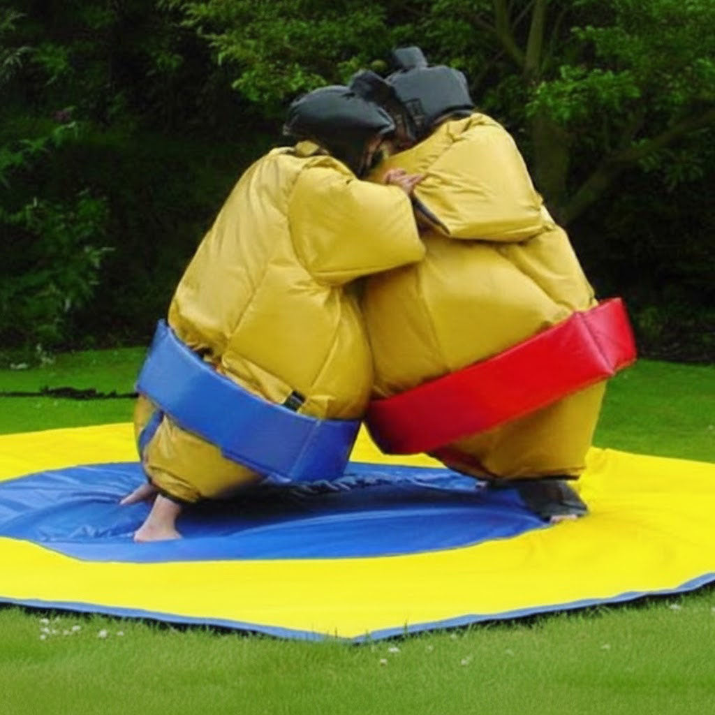 SUMO WRESTLING FUN