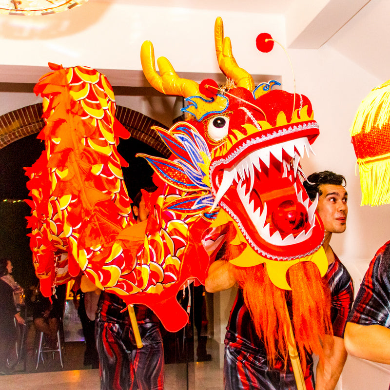 CHINESE DRAGONS